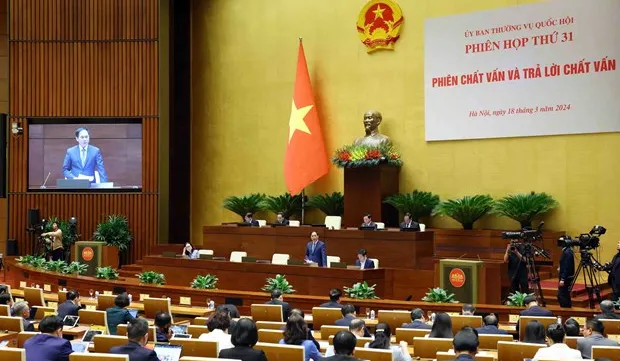 Vietnam’s upgrade of ties with major partners reflects enhanced political trust: minister