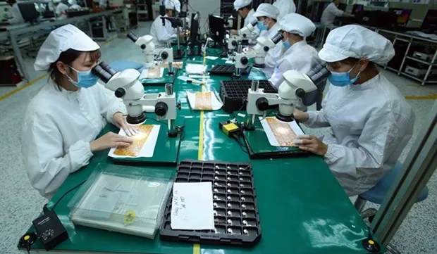 Vietnam's exports to US steadily recover
