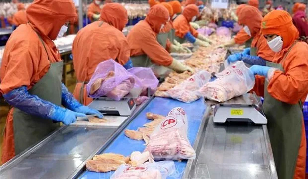 Vietnam's agricultural exports to China expected to rise