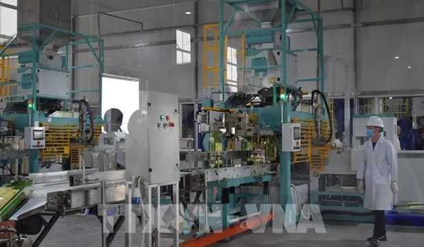 Businesses bullish on Q2 outlook: GSO