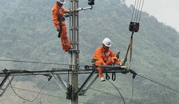 Fitch raises rating of Vietnam's northern power corporation