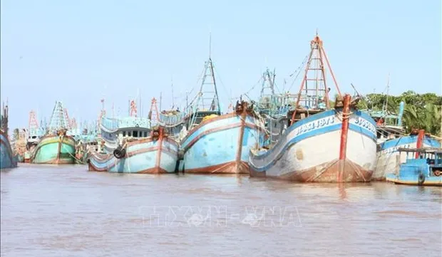 Ben Tre presses ahead with combating IUU fishing