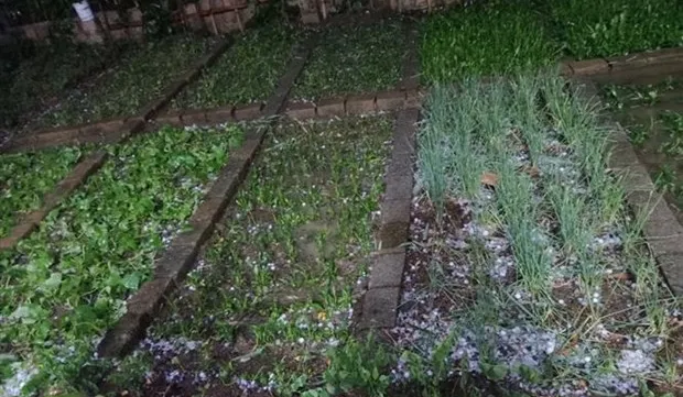 Heavy showers, hail hit Lao Cai