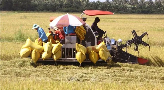 Over 1 million to be trained for massive high-quality rice project