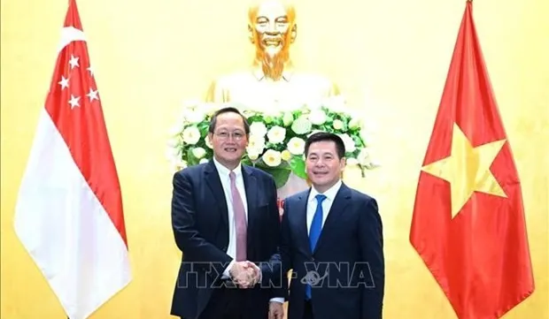 Vietnam, Singapore deepen economic, energy cooperation