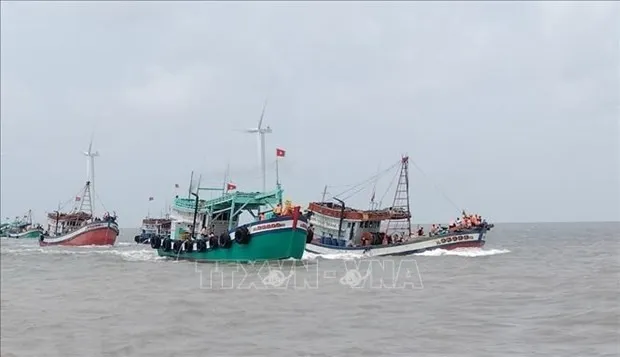 Bac Lieu increases local fishermen's awareness of IUU fishing