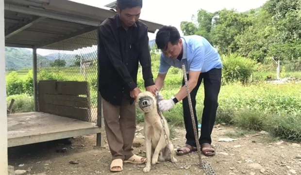 PM requests strict rabies prevention and control