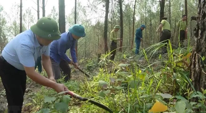 Project to develop multi-use values of forest ecosystem to 2030 approved