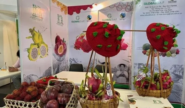 Vegetable, fruit exports see large potential in Southeast Asia, Middle East: forum