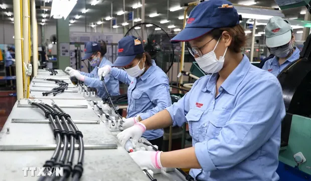 Foreign investment driven towards new breakthrough phase