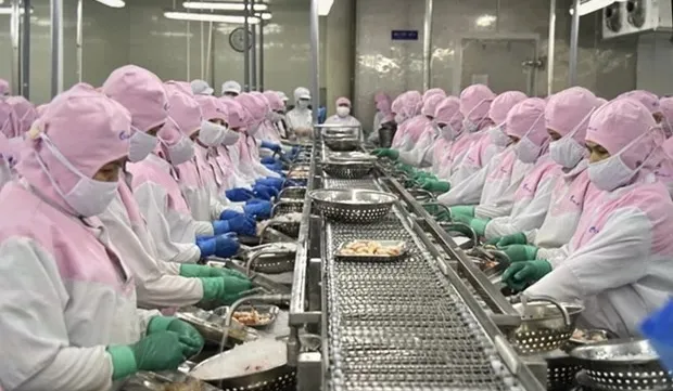 Vietshrimp 2024: Measures sought to recover shrimp industry