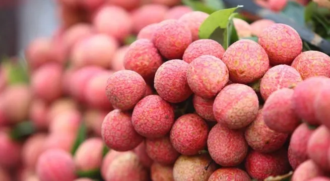 Lychee prices soar as output drops by more than 50%