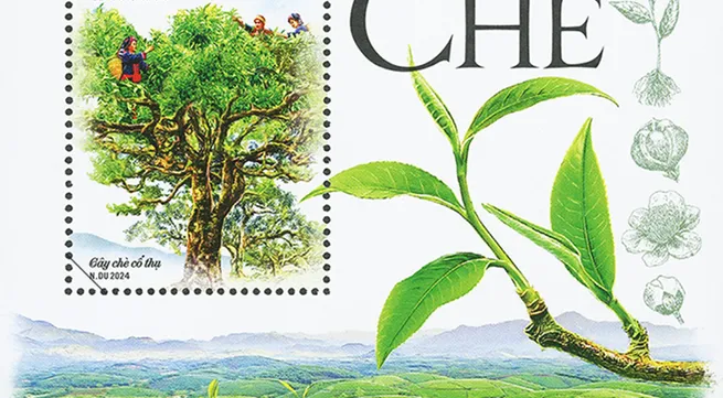 Postage stamp collection spotlights Vietnamese tea plant, culture