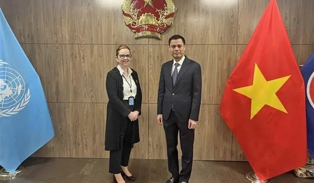 Vietnam supports UN’s humanitarian aid for Palestinians: Diplomat