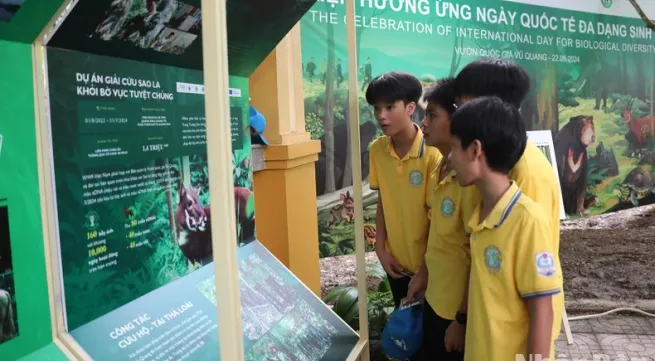 Joint actions urged to protect wild animals