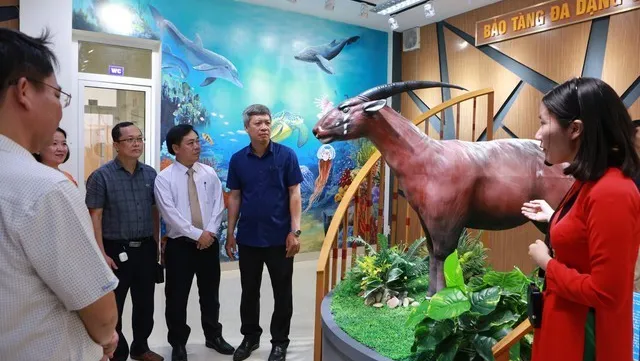 First provincial biodiversity museum launched in Quang Nam