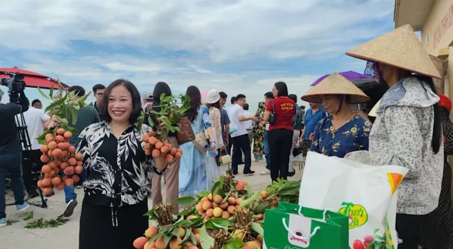 Hai Duong promotes consumption of Thanh Ha lychee associated with tours