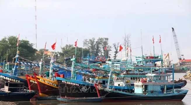 Binh Thuan ramps up efforts to combat IUU fishing