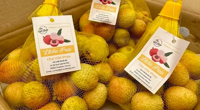 First batch of 2024 crop lychee reaches Paris