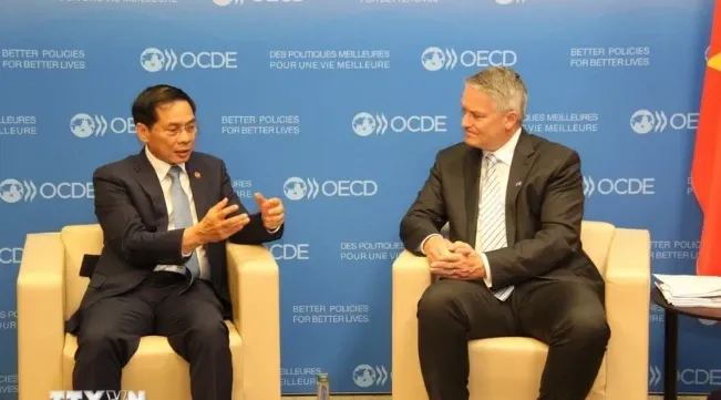 Vietnam steps up cooperation with OECD