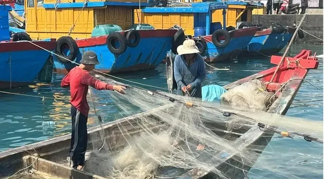 Tien Giang works hard on IUU fishing combat