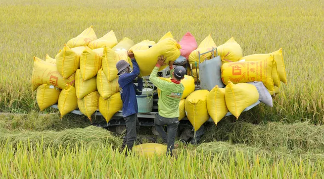 Plan issued to develop agricultural logistics system