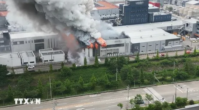 No Vietnamese reported injured or dead in RoK's battery plant fire