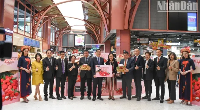 Vietnamese lychees affirm brand in Thailand