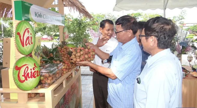 Conference promotes consumption of Thanh Ha lychees and key agricultural products of Hai Duong Province