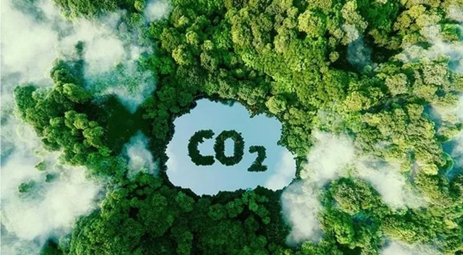Ministry establishes monitoring framework for carbon market