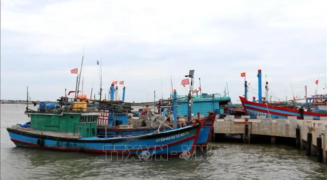 Quang Tri focuses on monitoring origin of fishing products at ports