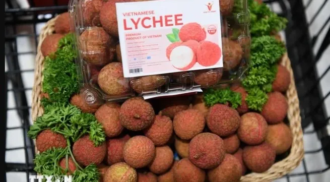 Vietnamese lychees become familiar to Thai consumers