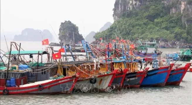 Quang Ninh requests registration of nearly 1,500 fishing vessels