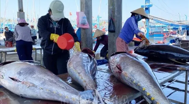 Australia shares experience in IUU fishing combat with Vietnam