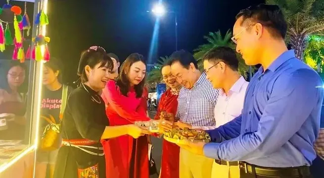 International culinary, music festival opens in Quang Binh