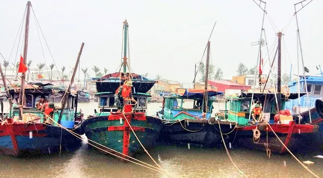 Vietnam’s coastal provinces brace for Typhoon Prapiroon