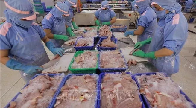 Vietnam's fishery products standing firm in Singapore