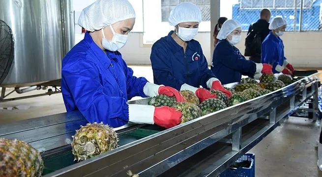 Vietnam maintains growth in agriculture