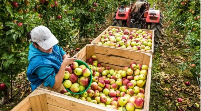 Polish agricultural products promoted in Vietnam