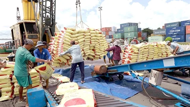 Vietnam likely earn 5 billion USD from rice exports this year