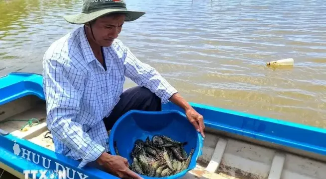 Mekong Delta promotes clean agricultural production to achieve Net Zero