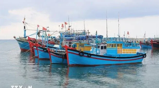 Binh Thuan handles fishing boats losing VMS connection