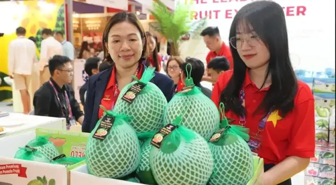 Vietnamese vegetables, fruits promoted at Asia Fruit Logistica