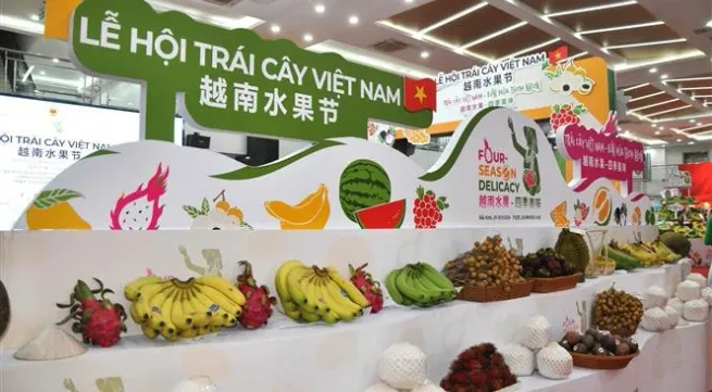 First Vietnam fruit festival opens in China