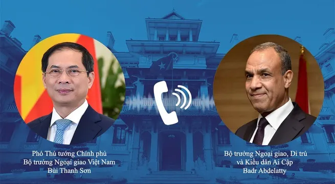 Vietnam, Egypt seek stronger cooperation