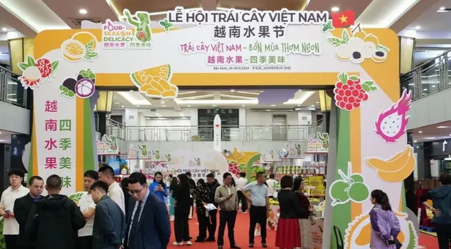 First Vietnam fruit festival opens in China