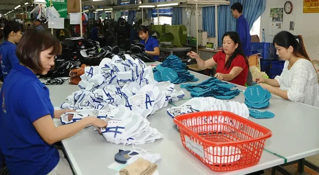 Raw material hub for textile and footwear sector