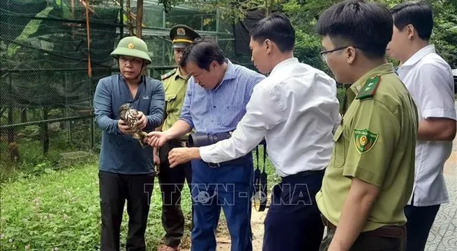 Quang Binh: 15 rare wild animals released back to the wild