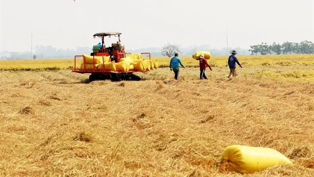 Low interest loan programme launched for high-quality rice cultivation