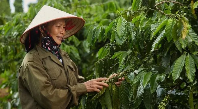 Nine-month agro-forestry-fisheries exports rise 21%